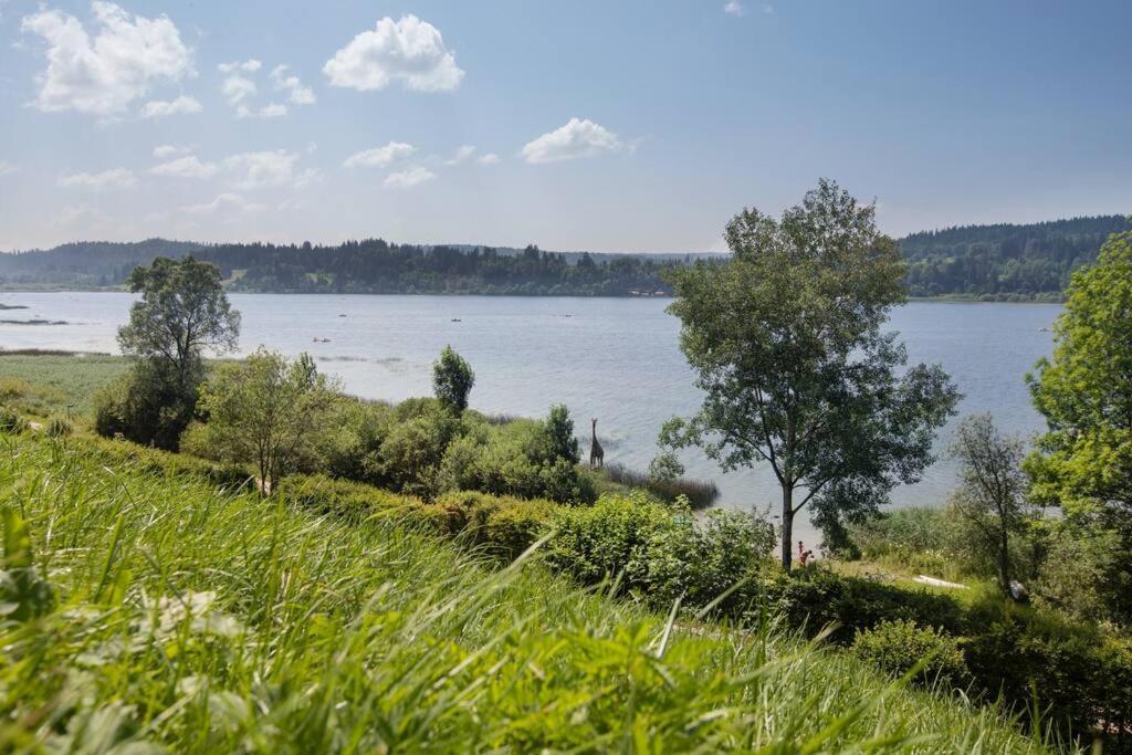 Duplex Le Reflet Du Lac Malbuisson Exterior foto